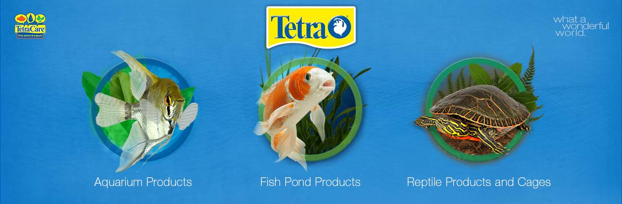 www.tetra.net/