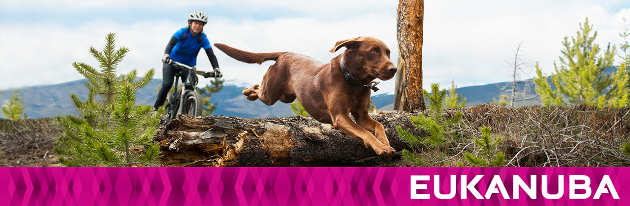 www.eukanuba.eu/